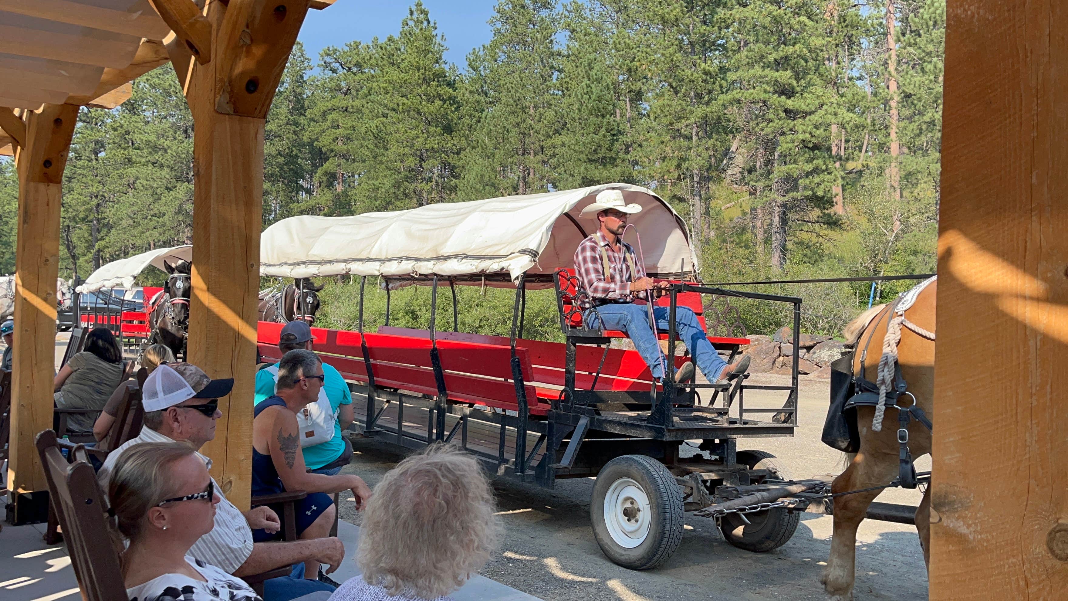Stephanie H.'s photo of camping with a horse at Mount Rushmore KOA at Palmer Gulch near Newcastle, WY