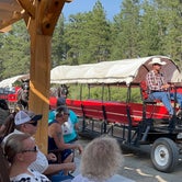 Review photo of Mount Rushmore KOA at Palmer Gulch by Stephanie H., August 31, 2023