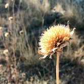 Review photo of Kaibab Lake Sites And Group Areas by Audrey R., October 30, 2018