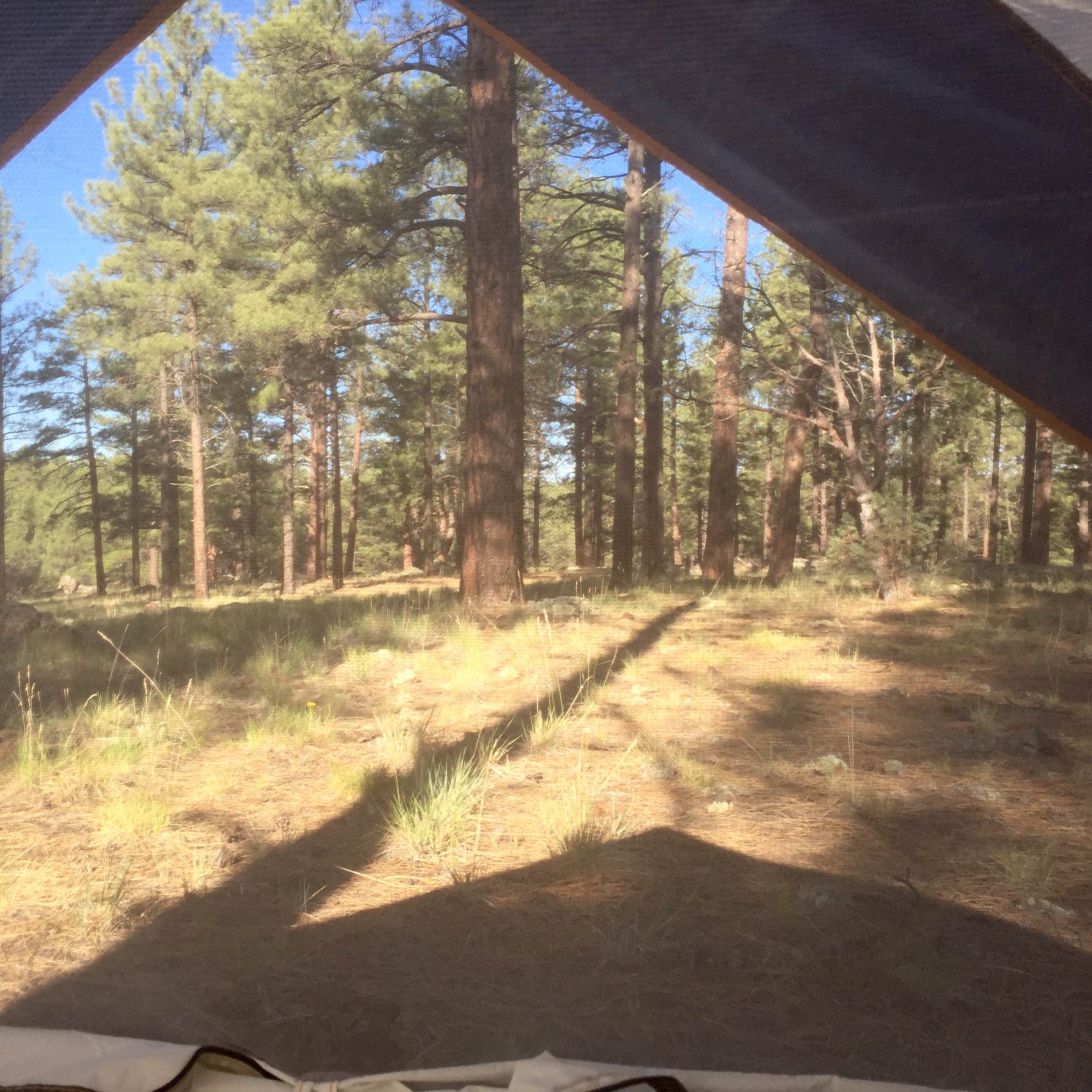 Kaibab Lake Sites And Group Areas Camping The Dyrt