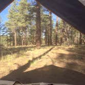 Review photo of Kaibab Lake Sites And Group Areas by Audrey R., October 30, 2018