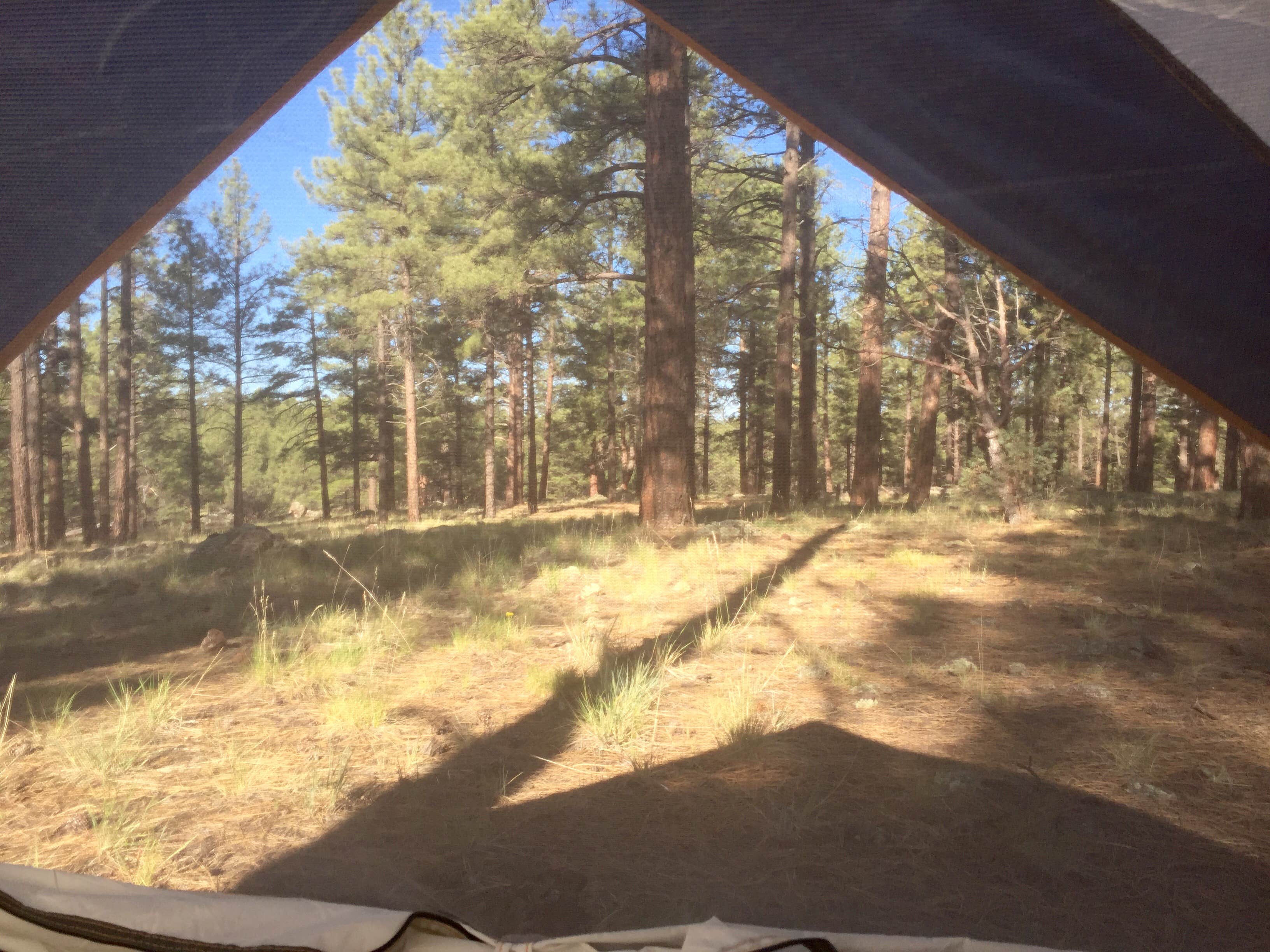 Camper submitted image from Kaibab Lake Sites And Group Areas - 3