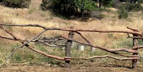 Camper submitted image from Mitchell Stand