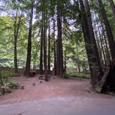 Review photo of Burlington Campground — Humboldt Redwoods State Park by Taylor A., August 31, 2023