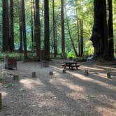 Review photo of Burlington Campground — Humboldt Redwoods State Park by Taylor A., August 31, 2023