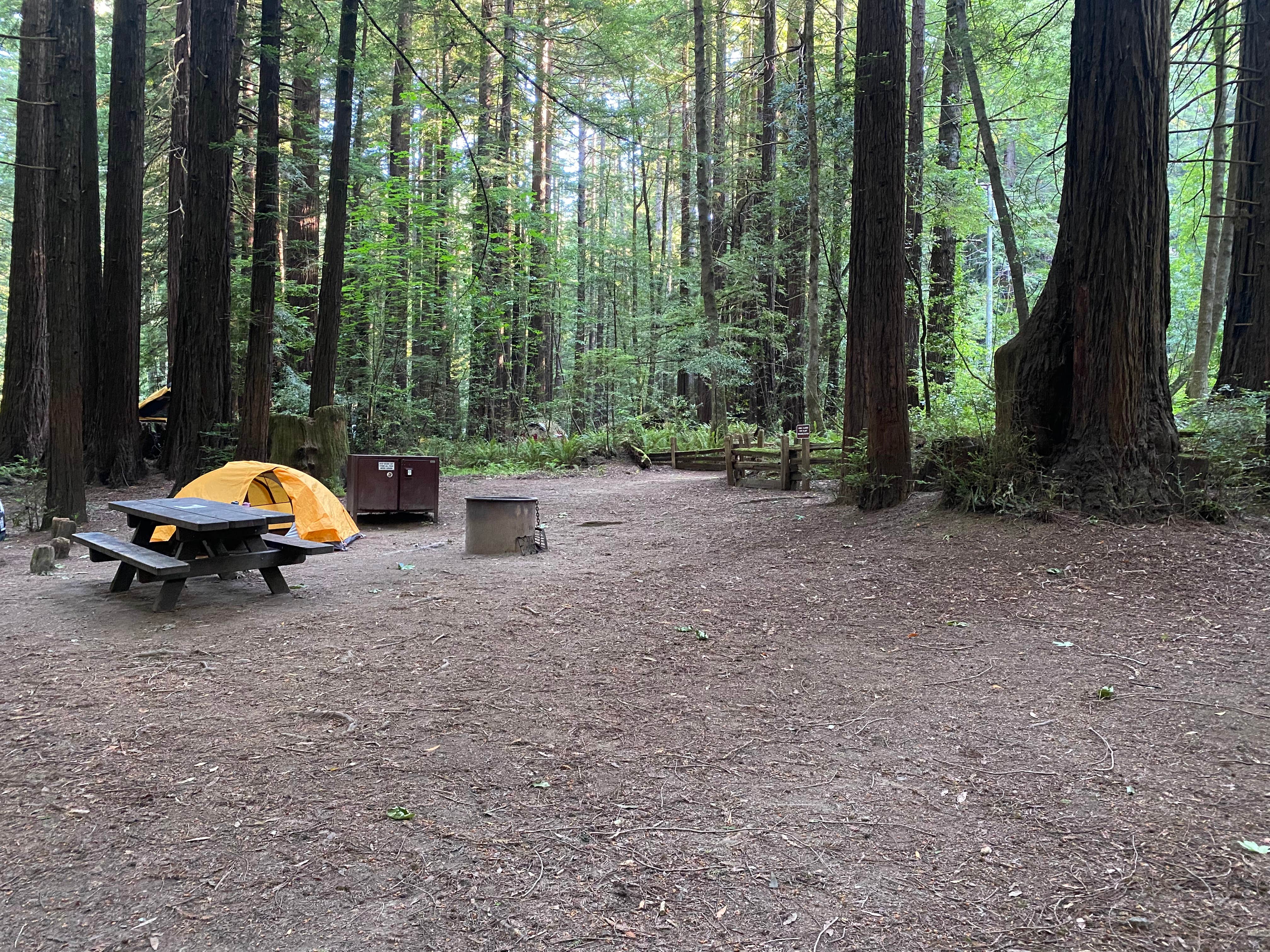 Taylor A.'s photo at Burlington Campground — Humboldt Redwoods State Park near Bridgeville, CA