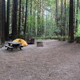 Review photo of Burlington Campground — Humboldt Redwoods State Park by Taylor A., August 31, 2023