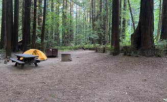Taylor A.'s photo at Burlington Campground — Humboldt Redwoods State Park near Weott, CA