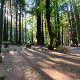 Review photo of Burlington Campground — Humboldt Redwoods State Park by Taylor A., August 31, 2023