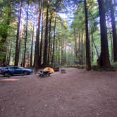 Review photo of Burlington Campground — Humboldt Redwoods State Park by Taylor A., August 31, 2023