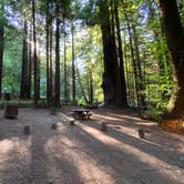 Review photo of Burlington Campground — Humboldt Redwoods State Park by Taylor A., August 31, 2023