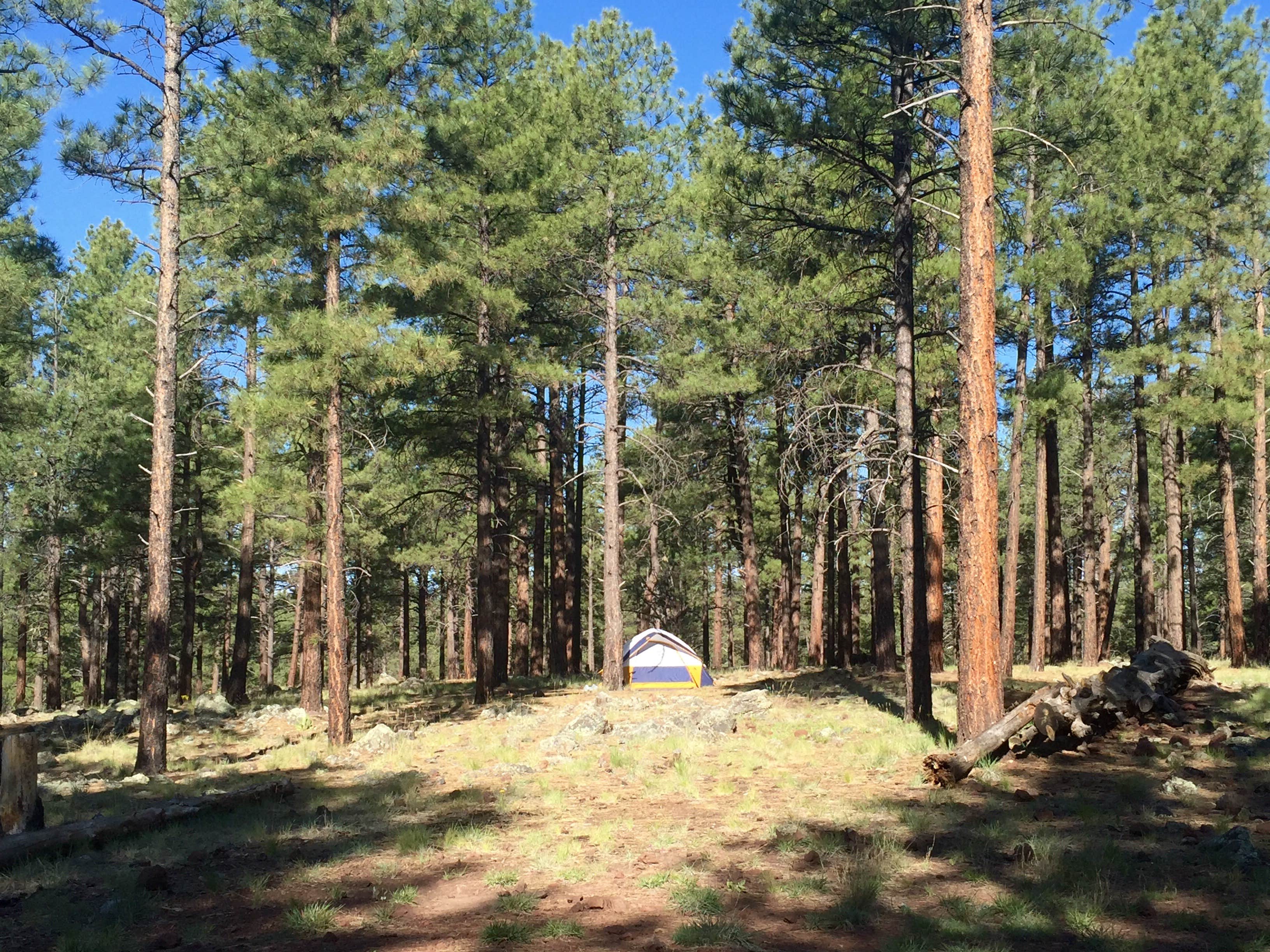 Camper-submitted photo at Kaibab Lake Sites And Group Areas near Williams, AZ