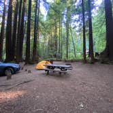 Review photo of Burlington Campground — Humboldt Redwoods State Park by Taylor A., August 31, 2023