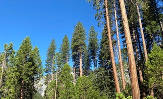 Camper-submitted photo from Lower Pines Campground — Yosemite National Park