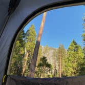 Review photo of Lower Pines Campground — Yosemite National Park by Susan Y., August 31, 2023