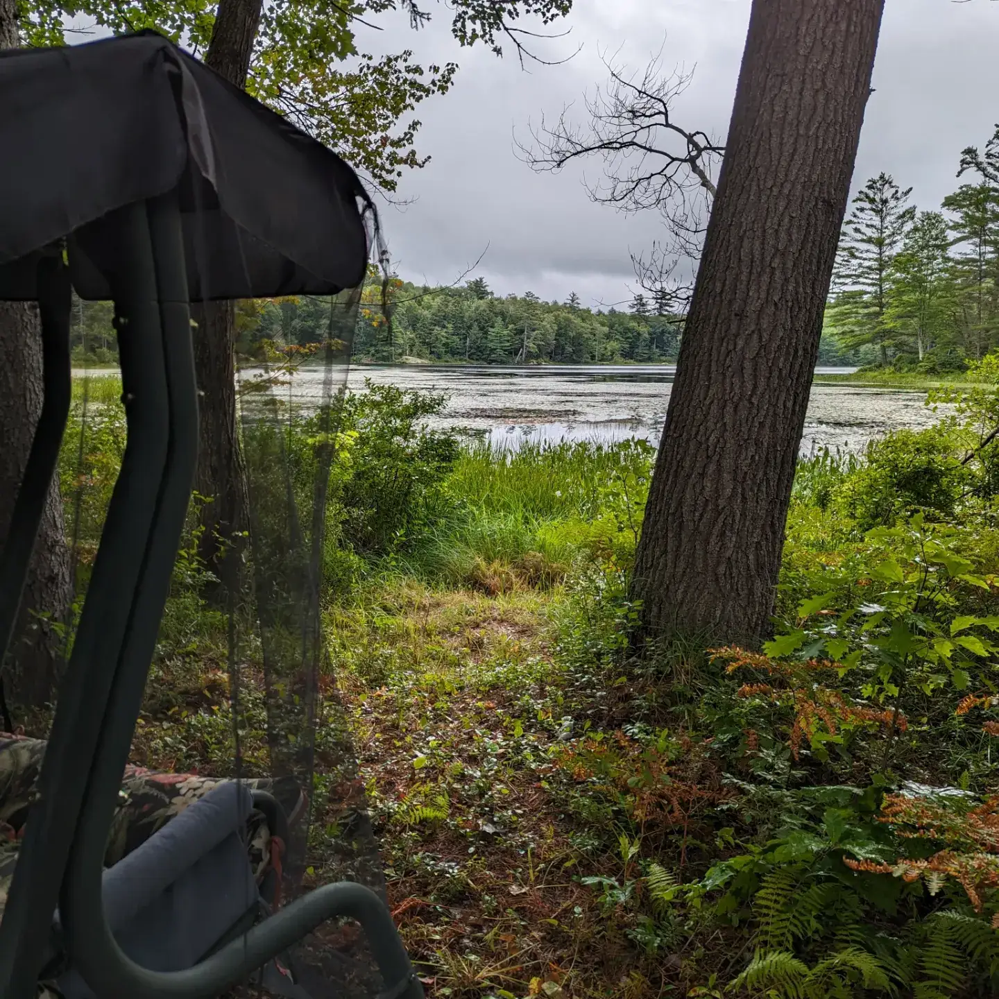 Camper-submitted photo at Chapman Acres near Keene, NH