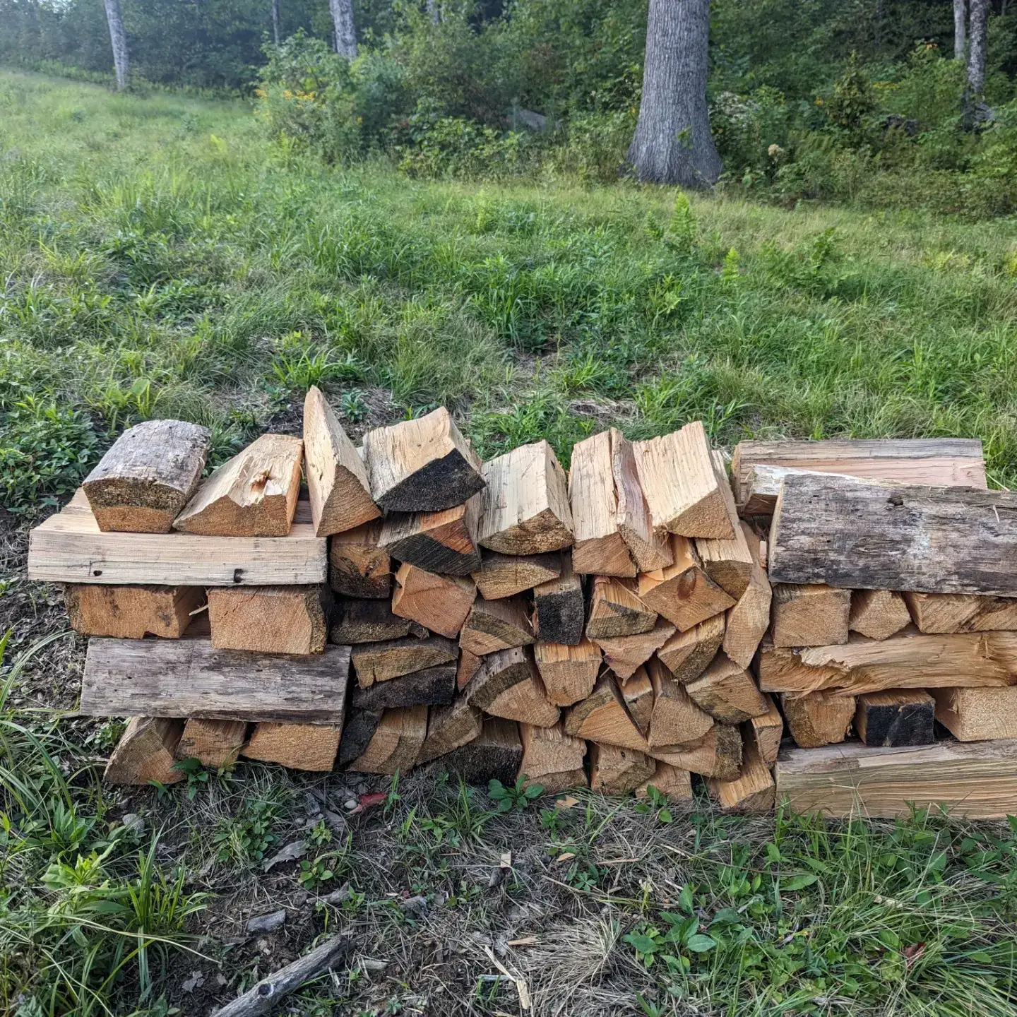 Camper-submitted photo at Chapman Acres near Keene, NH