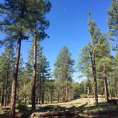 Review photo of Kaibab Lake Sites And Group Areas by Audrey R., October 30, 2018