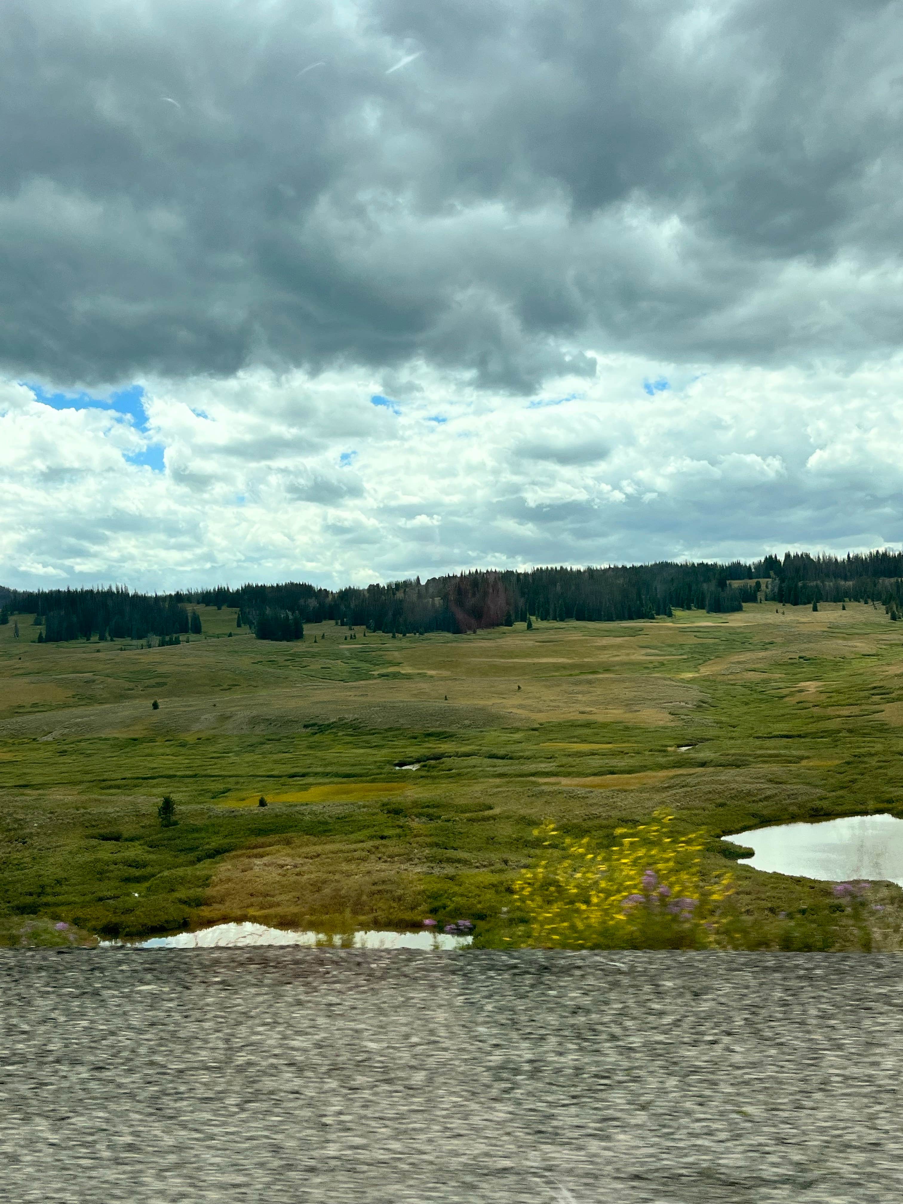 Ashton R.'s photo of a dispersed camping area at Spread Creek Campsites 8-13 near Moran, WY