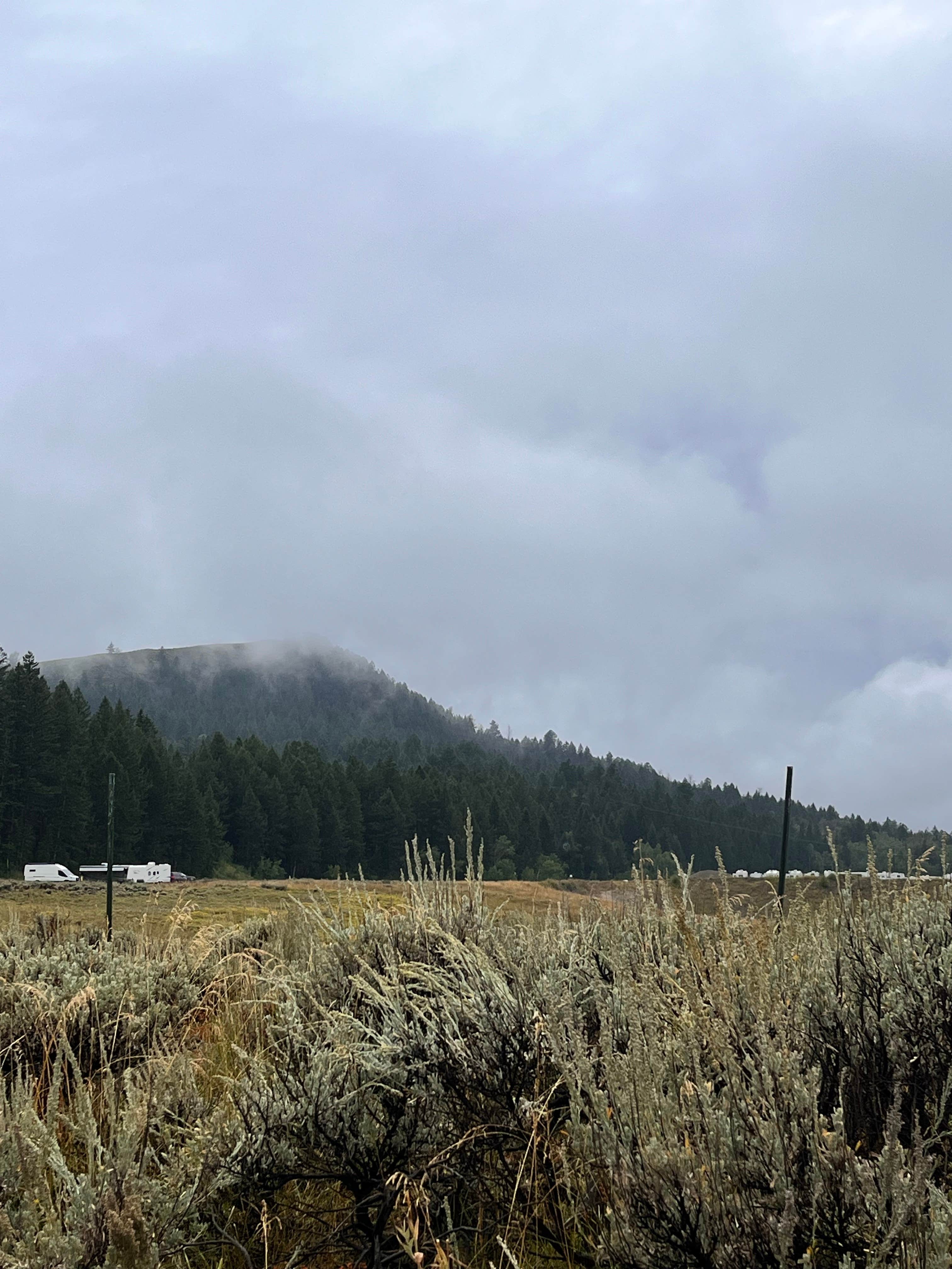 Camping near Spread Creek Meadows 4-7: Spread Creek Campsites 8-13, Moran, Wyoming