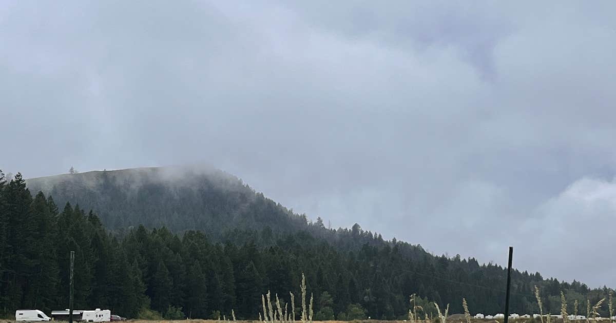 Spread Creek Campsites 8-13