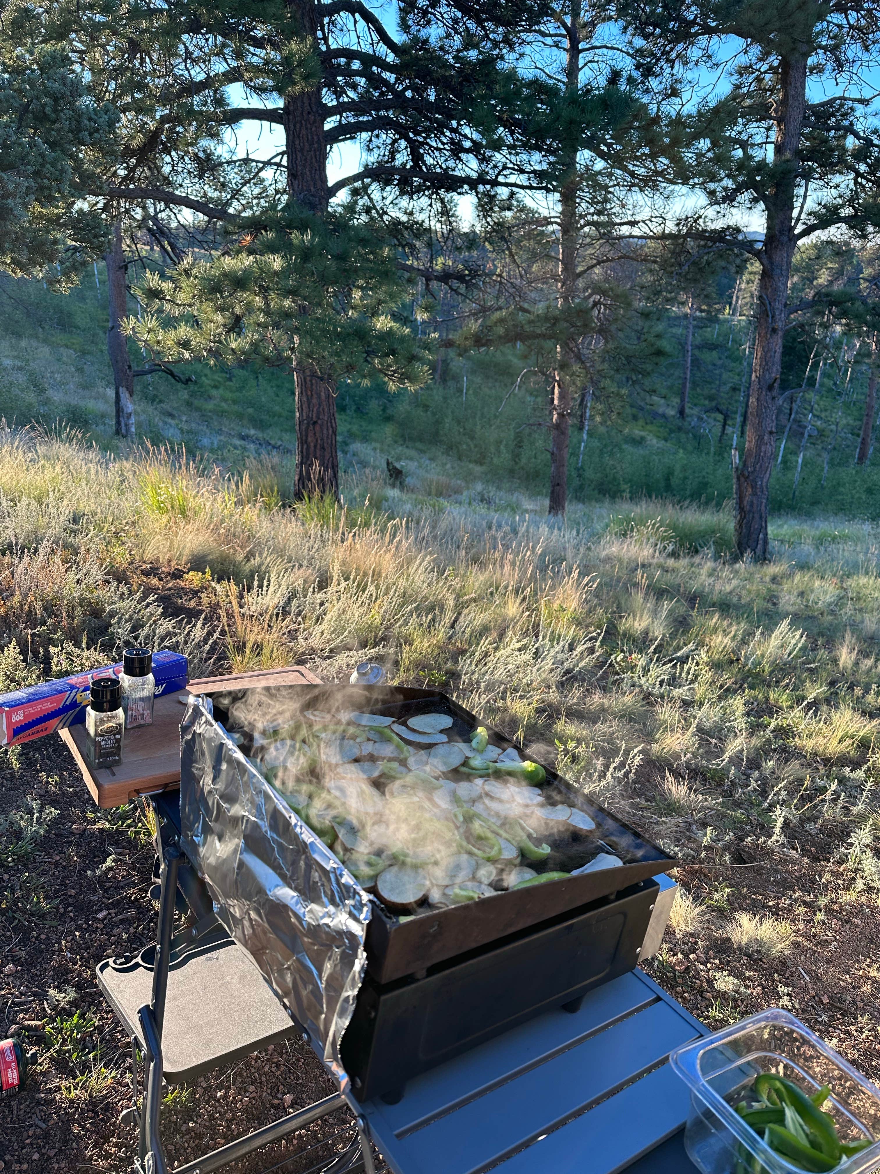 Camper submitted image from Rampart Range Area Dispersed Campsite - 5