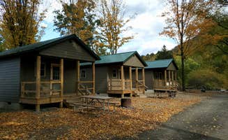 Crooked Creek C.'s photo of glamping accommodations at DB Adventures near Driftwood, PA