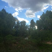 Review photo of Dead Horse Ranch State Park Campground by Audrey R., October 30, 2018