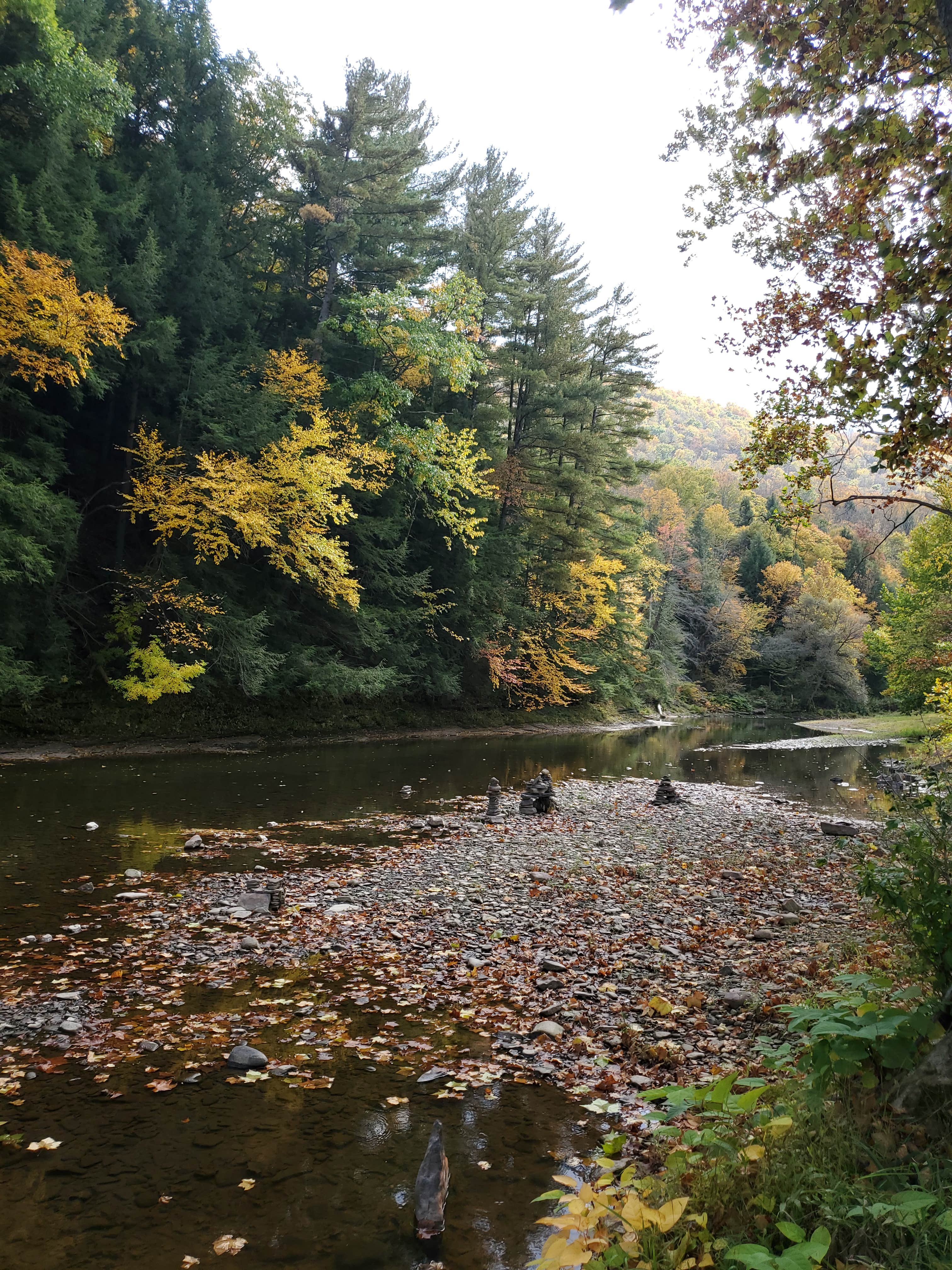 Camping near Colton Point State Park Campground: DB Adventures, Gaines, Pennsylvania