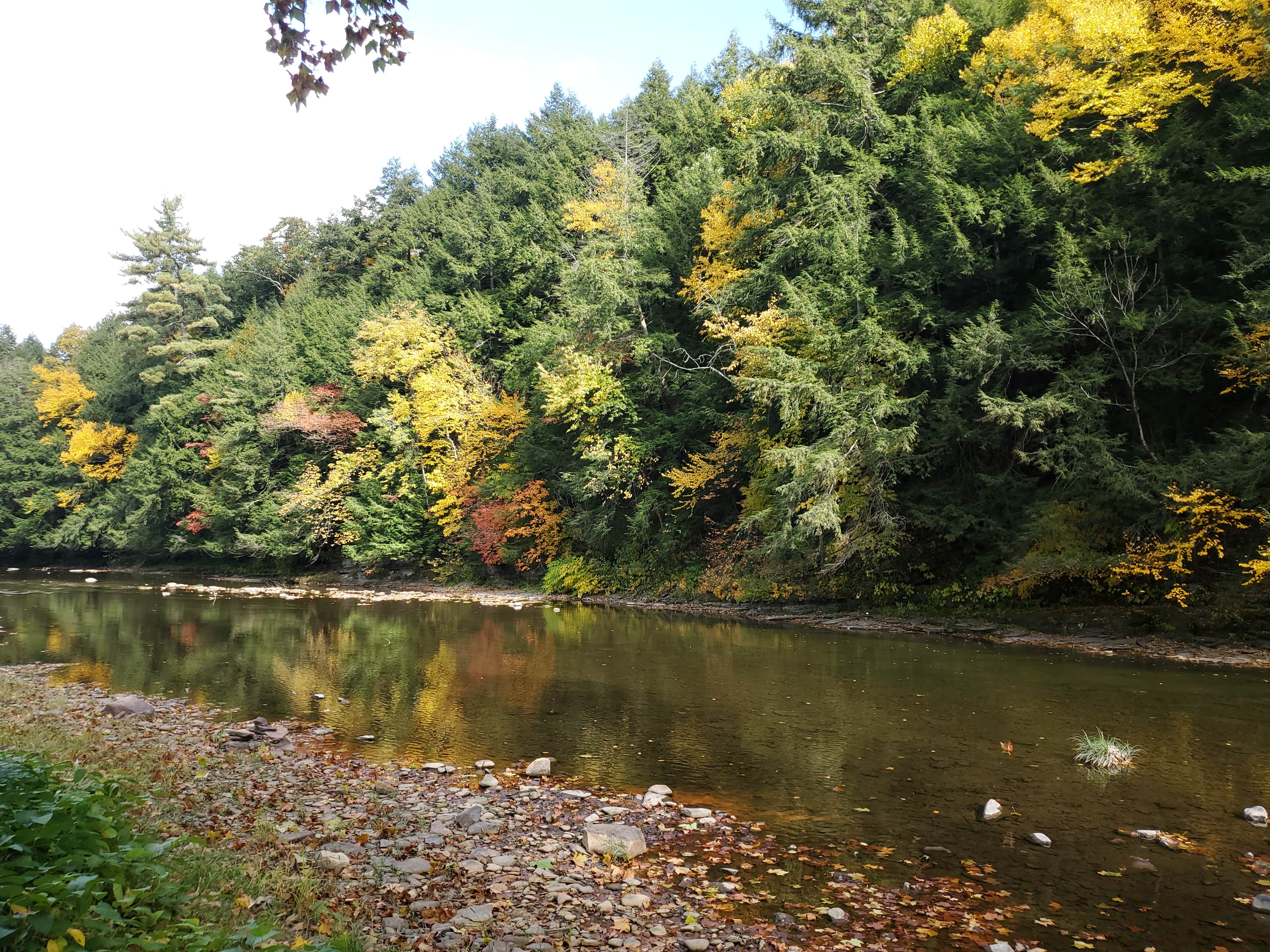 Camper-submitted photo at DB Adventures near Wellsboro, PA