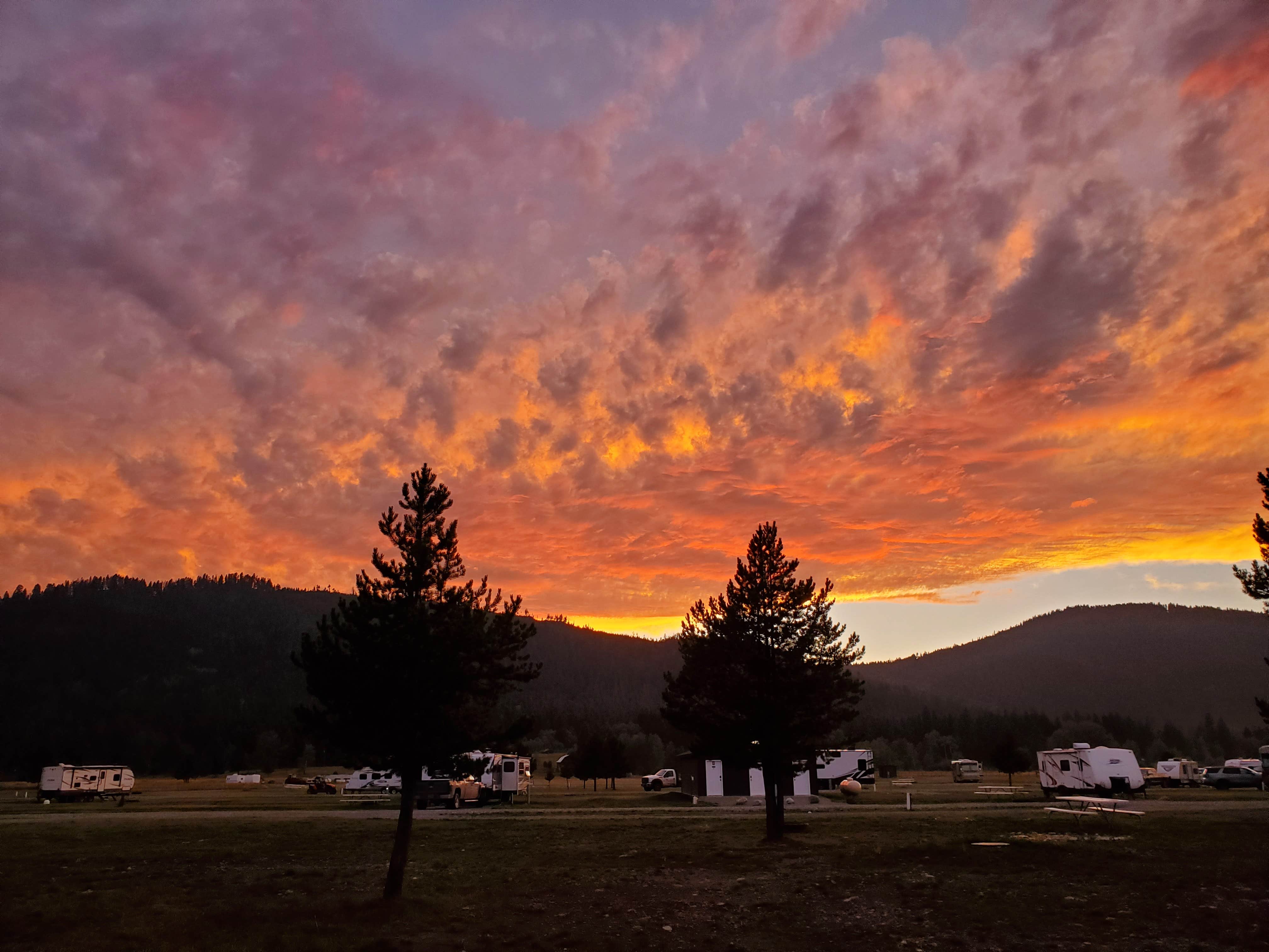 Camper submitted image from Lost Moose Meadows Campground - 5
