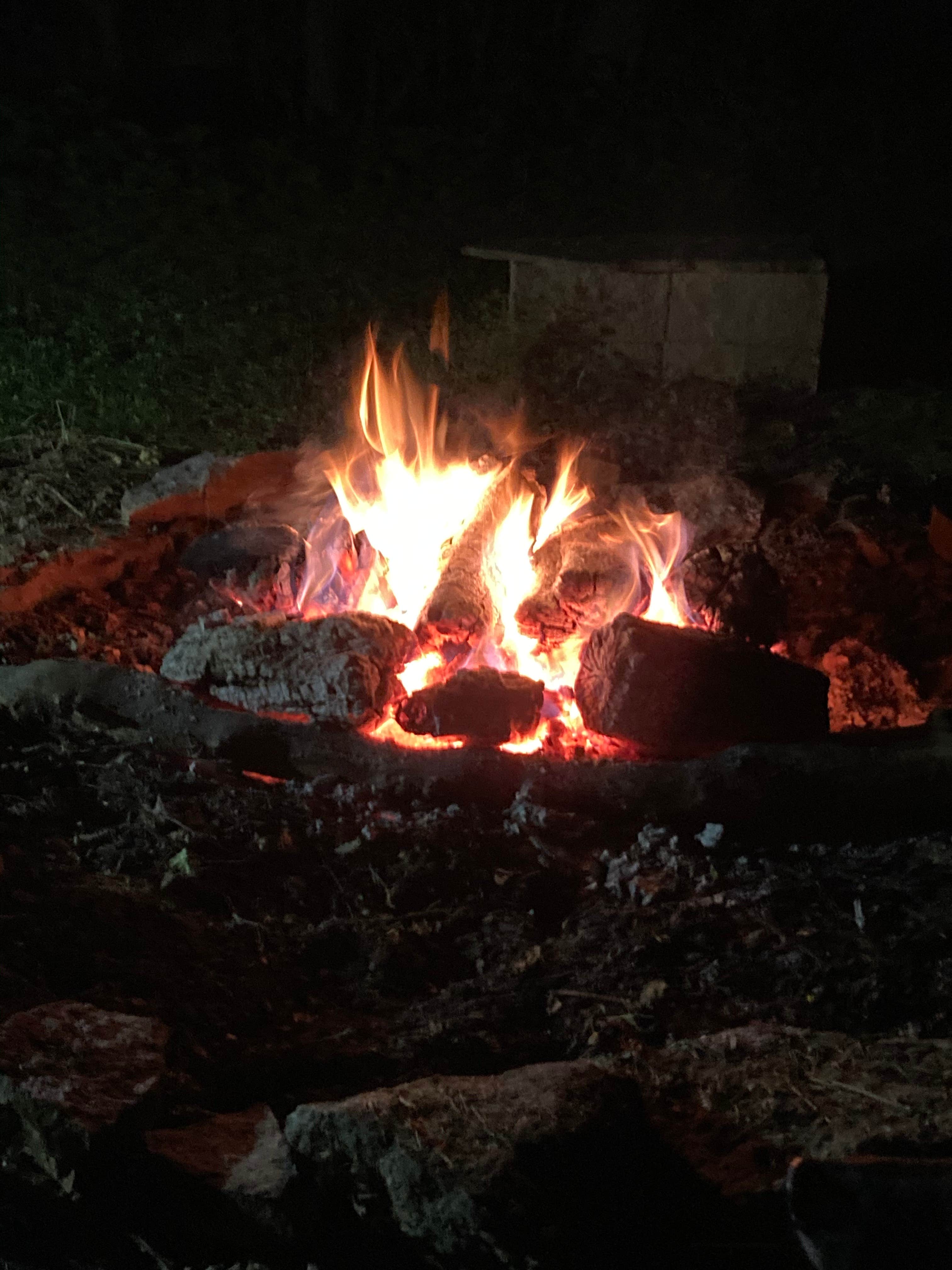 Camper-submitted photo at Mimsey's Mayhem near Lawrenceburg, IN