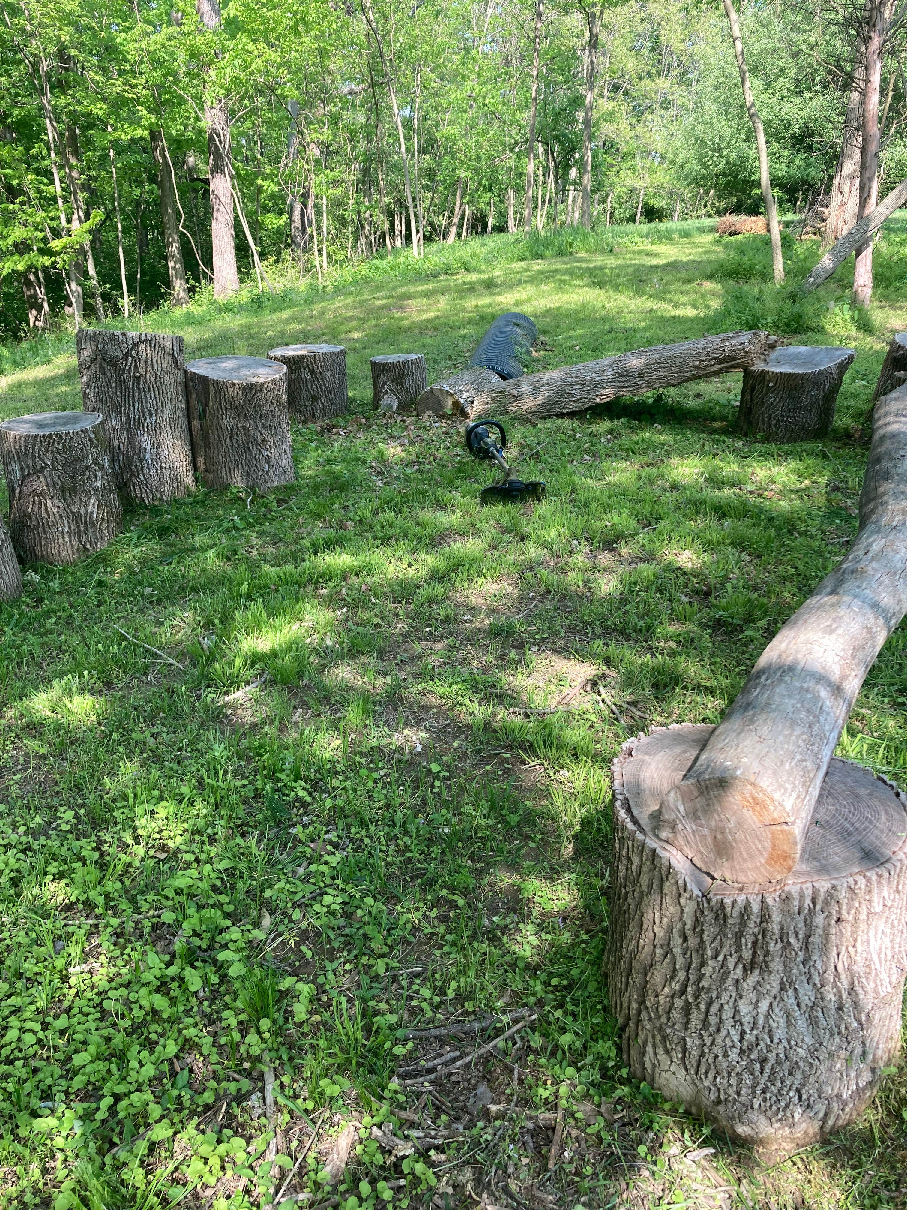 Camper-submitted photo at Mimsey's Mayhem near Lawrenceburg, IN