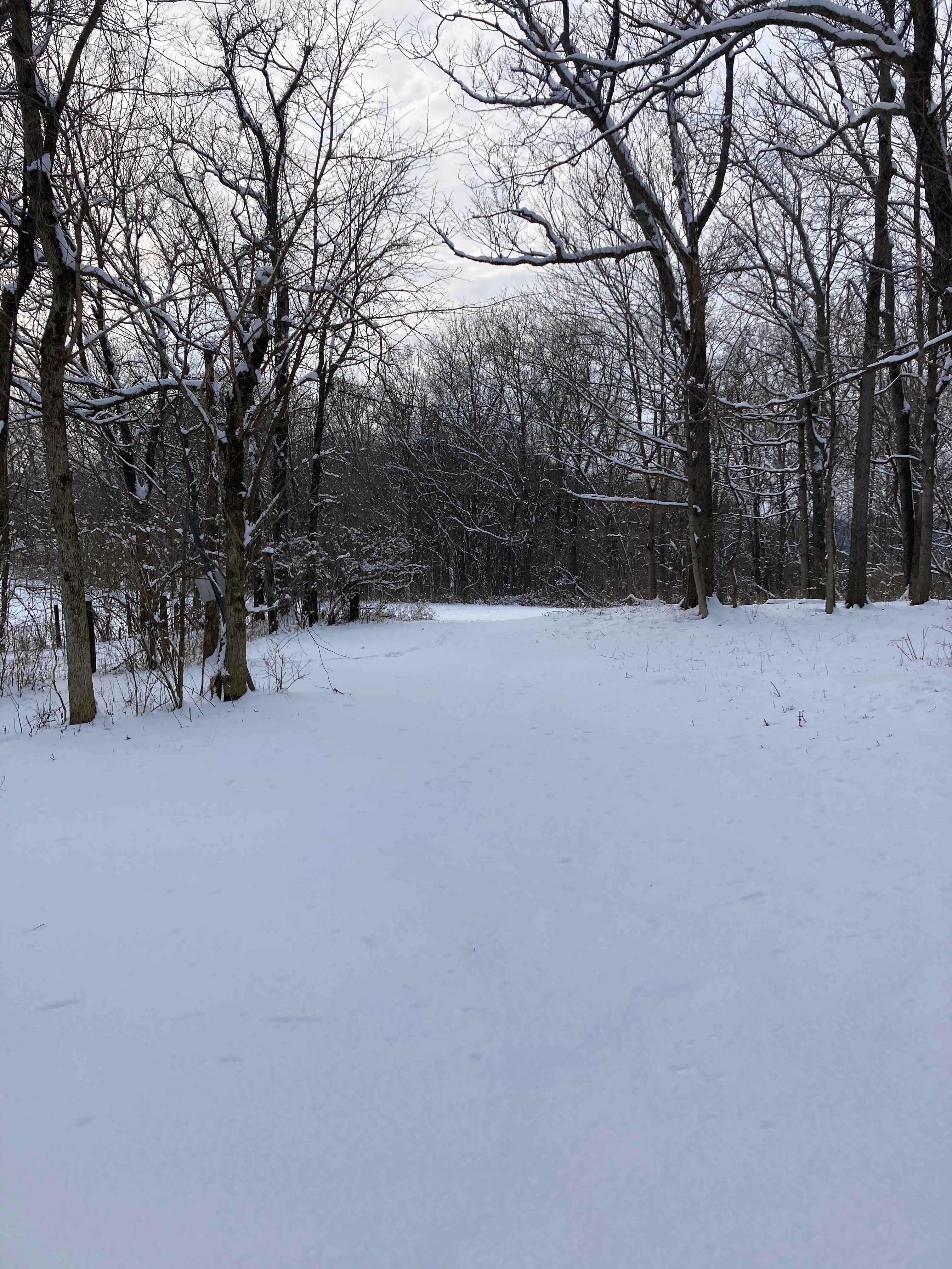 Camper-submitted photo at Mimsey's Mayhem near Lawrenceburg, IN