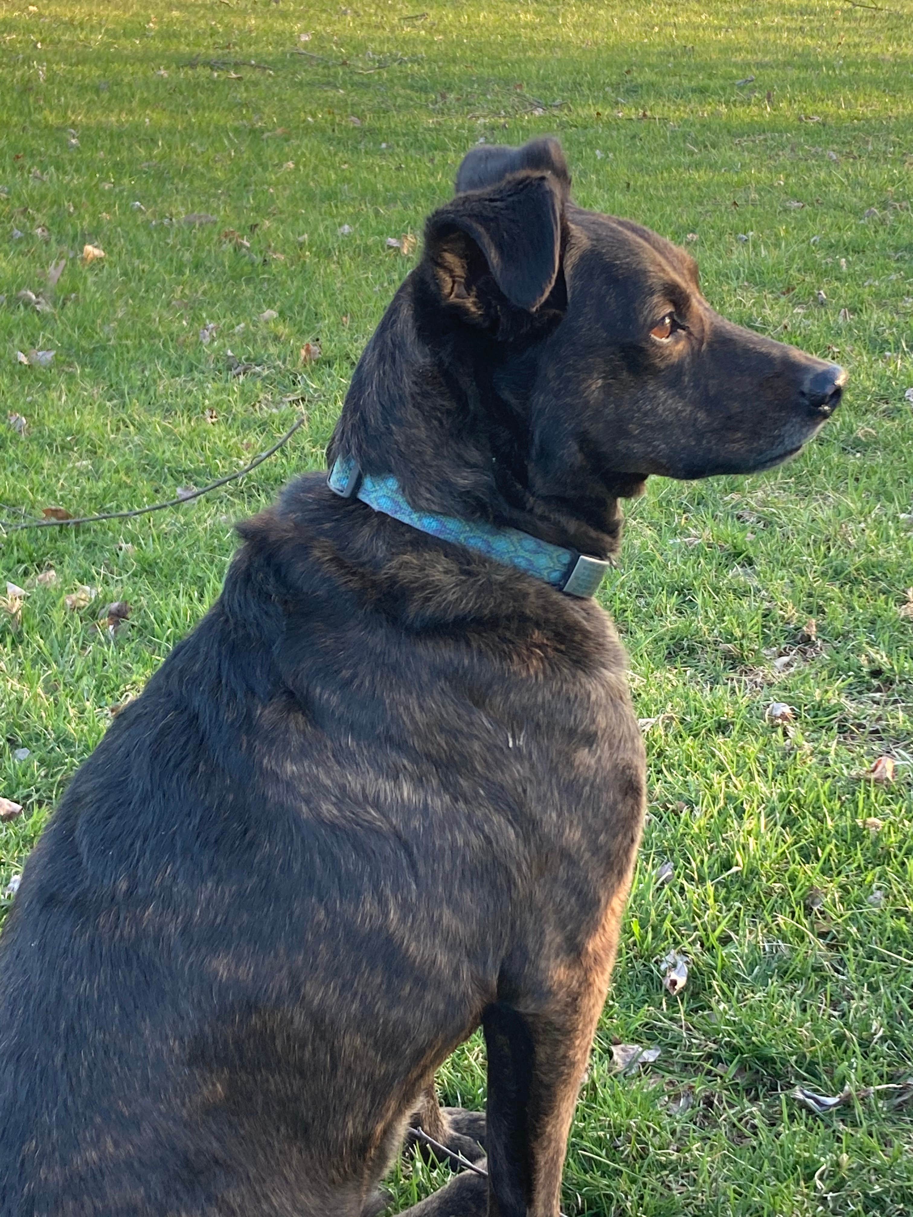 Camper-submitted photo at Mimsey's Mayhem near Lawrenceburg, IN