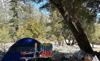 Yuliana N.'s photo at Crystal Lake Rec Area Campground near Claremont, CA
