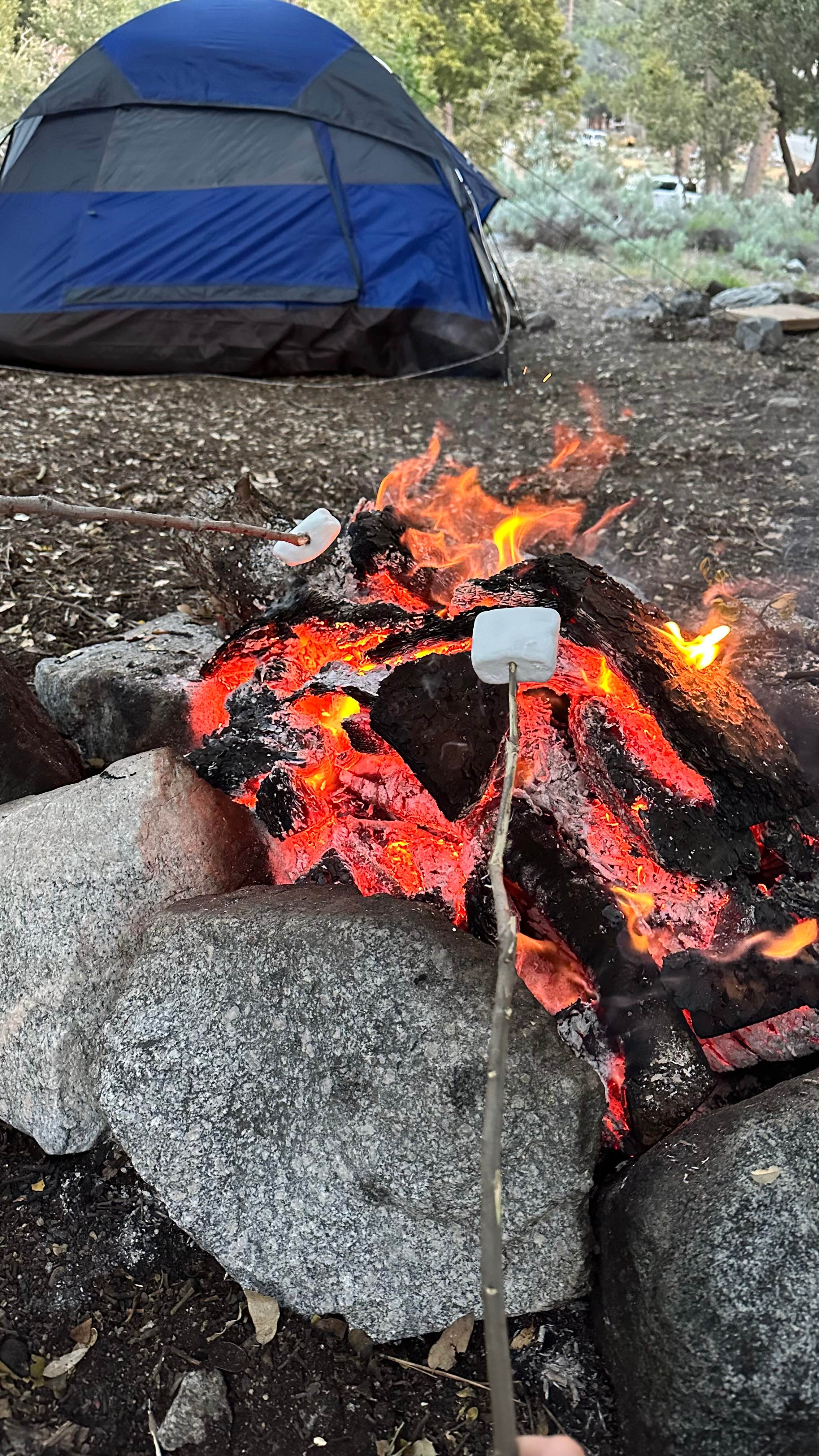 Yuliana N.'s photo at Crystal Lake Rec Area Campground near Valyermo, CA