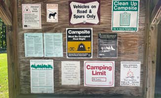Nathan G.'s photo of camping with pets at Buzzard Roost Campground — Hoosier National Forest near Cannelton, IN