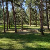 Review photo of Black Hills National Forest Cook Lake Campground by Leslie B., September 1, 2023