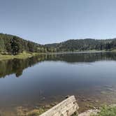 Review photo of Black Hills National Forest Cook Lake Campground by Leslie B., September 1, 2023