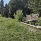 Review photo of Black Hills National Forest Cook Lake Campground by Leslie B., September 1, 2023