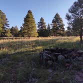 Review photo of Garland Prairie Rd Dispersed Camping by Jenny&Tobias P., September 1, 2023