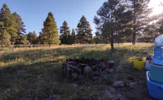 Jenny&Tobias P.'s photo at Garland Prairie Rd Dispersed Camping near Parks, AZ