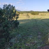 Review photo of Garland Prairie Rd Dispersed Camping by Jenny&Tobias P., September 1, 2023