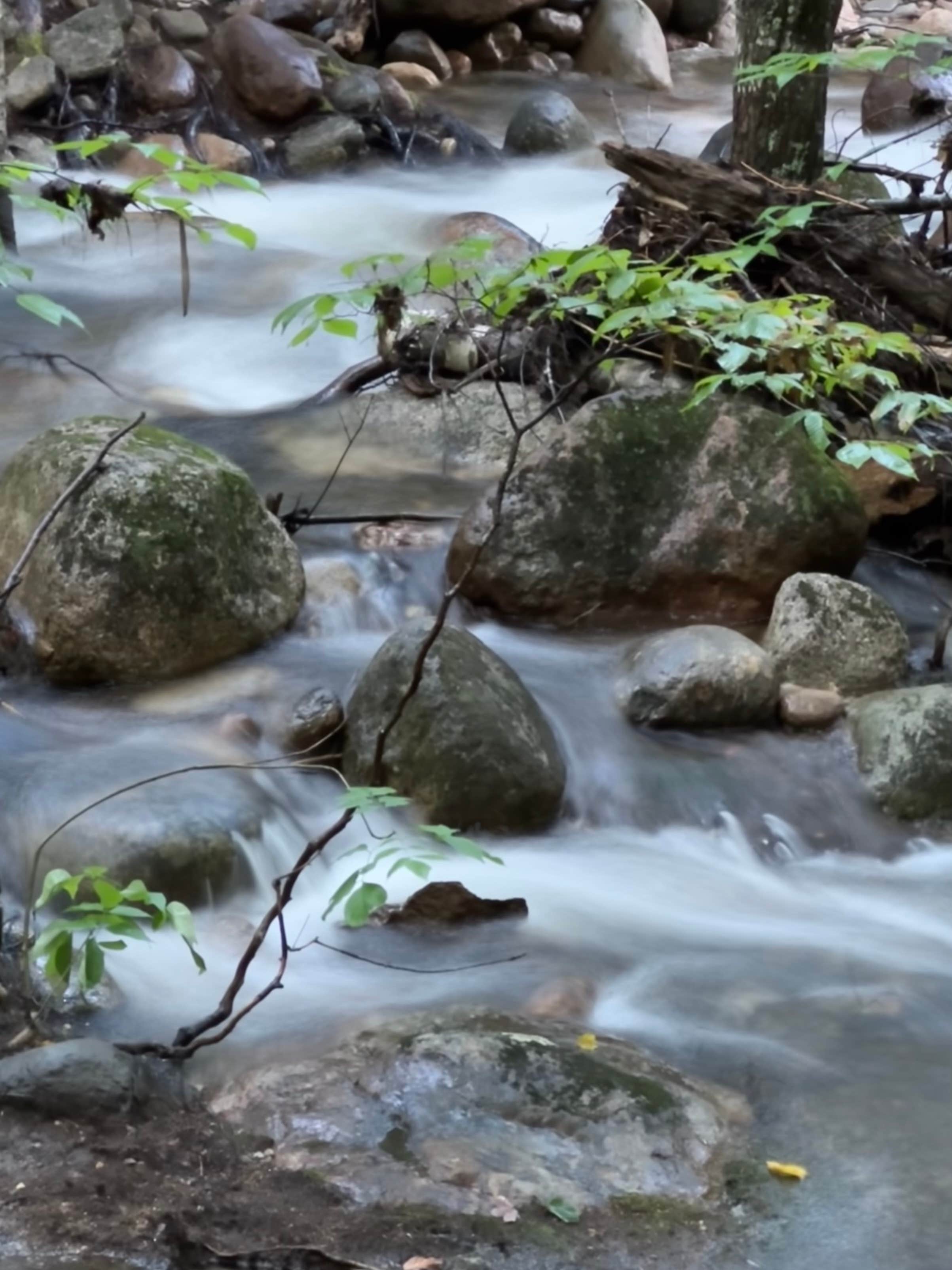 Camper submitted image from Crawford State Park Campground - 1