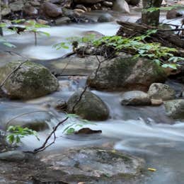 Crawford State Park Campground