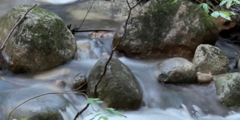 Camper submitted image from Oak Point Campground — Crawford State Park