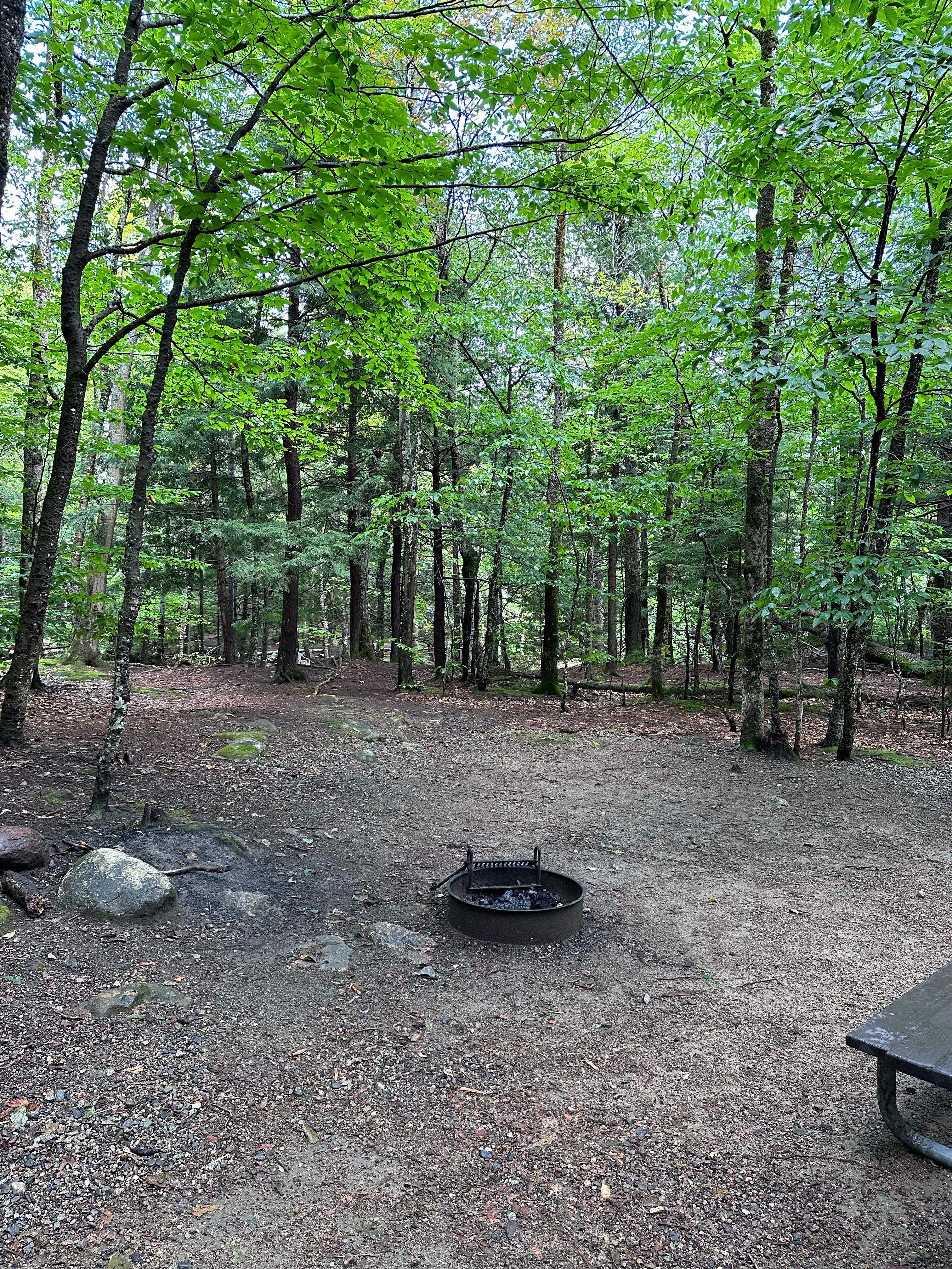 Camper submitted image from Crawford State Park Campground - 5
