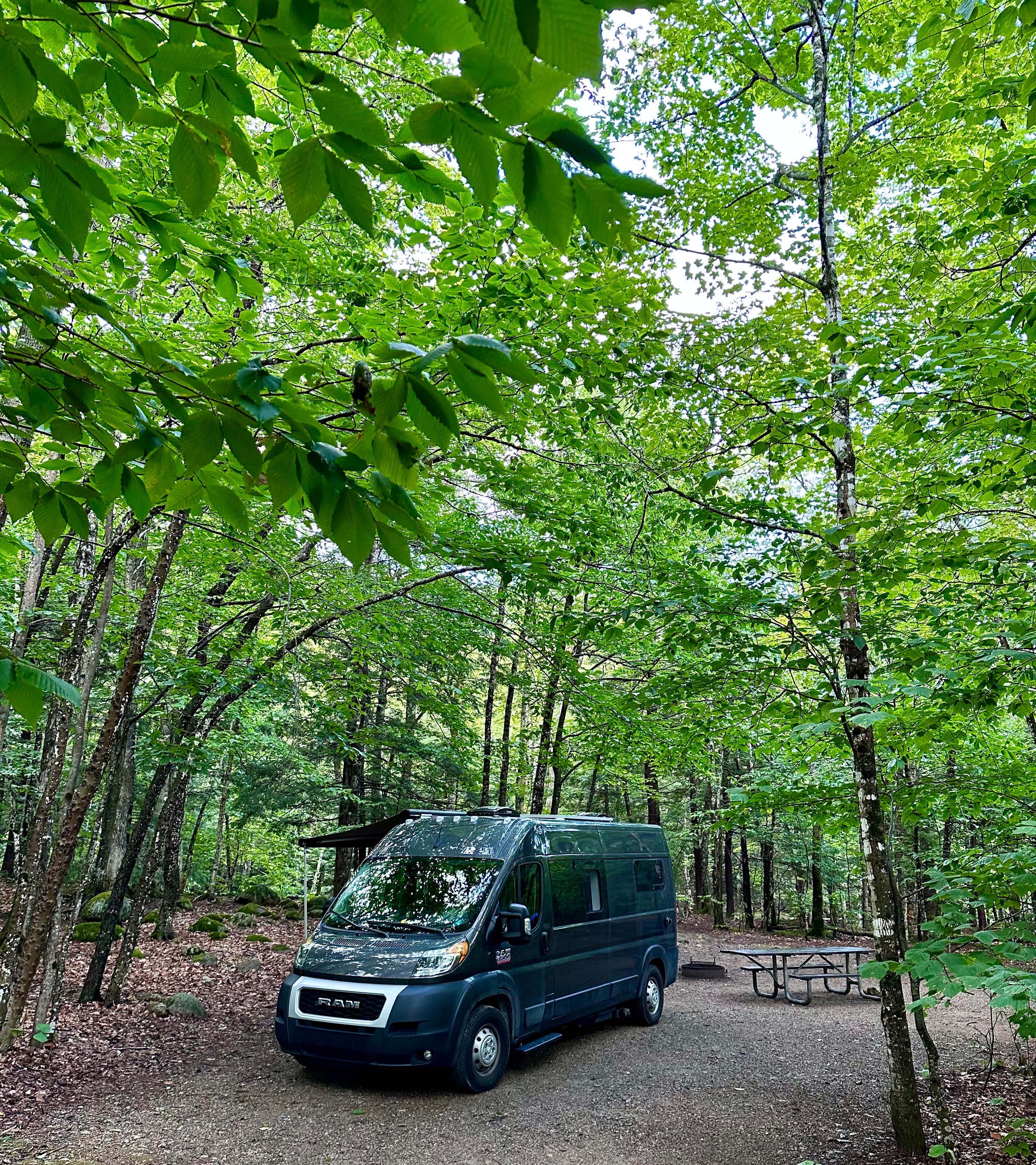 Camper-submitted photo at Oak Point Campground — Crawford State Park near Fort Scott, KS