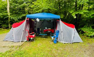 Joe M.'s photo at Pickerel Point Campground — Promised Land State Park near Paupack, PA